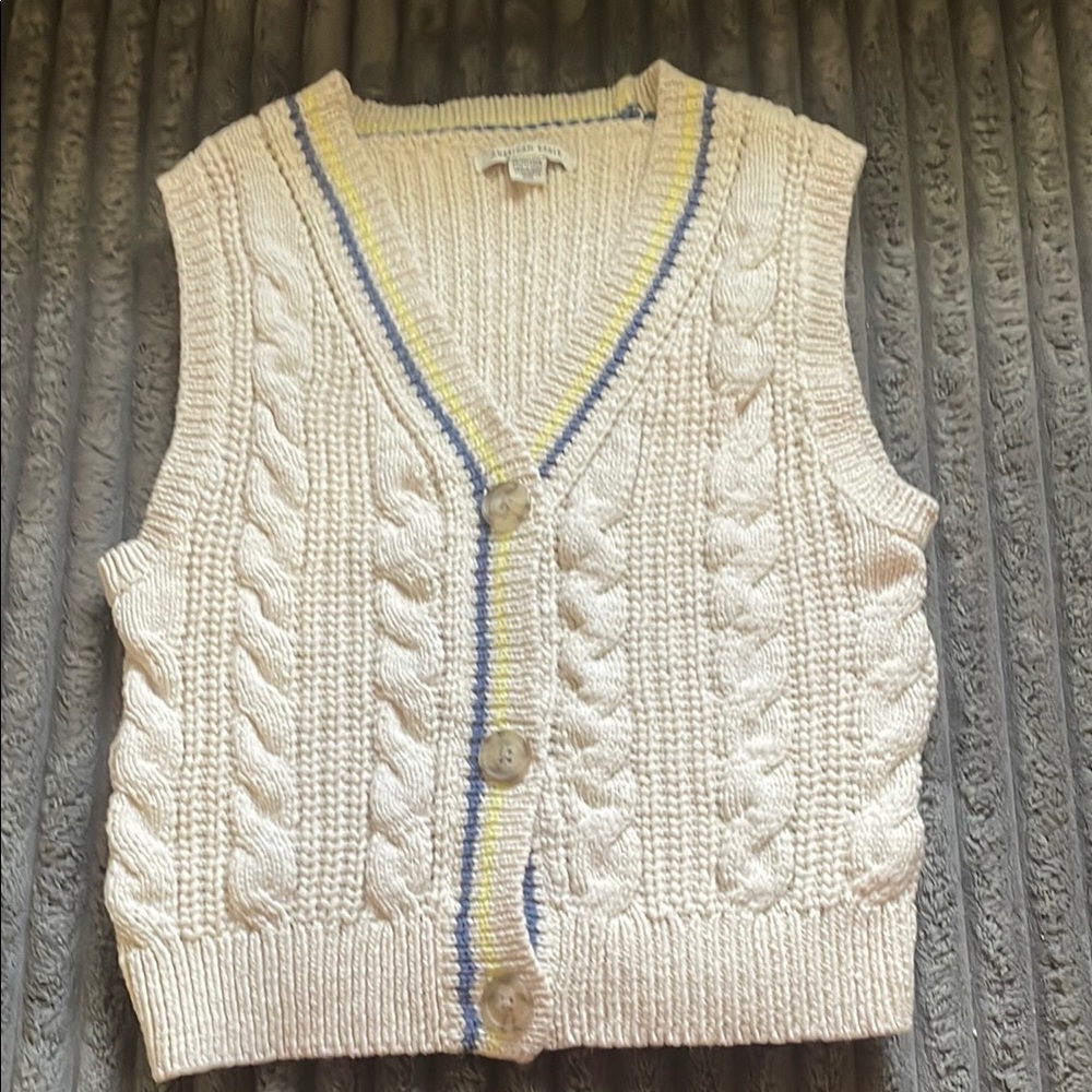 American Eagle Outfitters V-Neck Sweater Cream and Blue